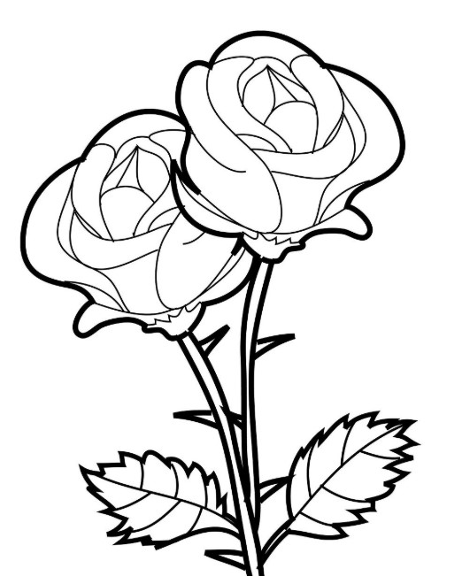 Detail Cara Menggambar Bunga Anak Tk Nomer 51