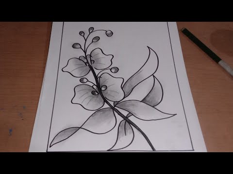 Detail Cara Menggambar Bunga Anggrek Nomer 27
