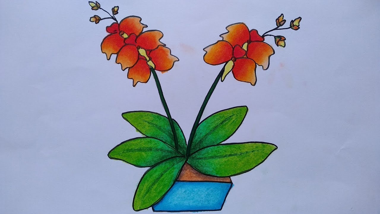 Detail Cara Menggambar Bunga Anggrek Nomer 6