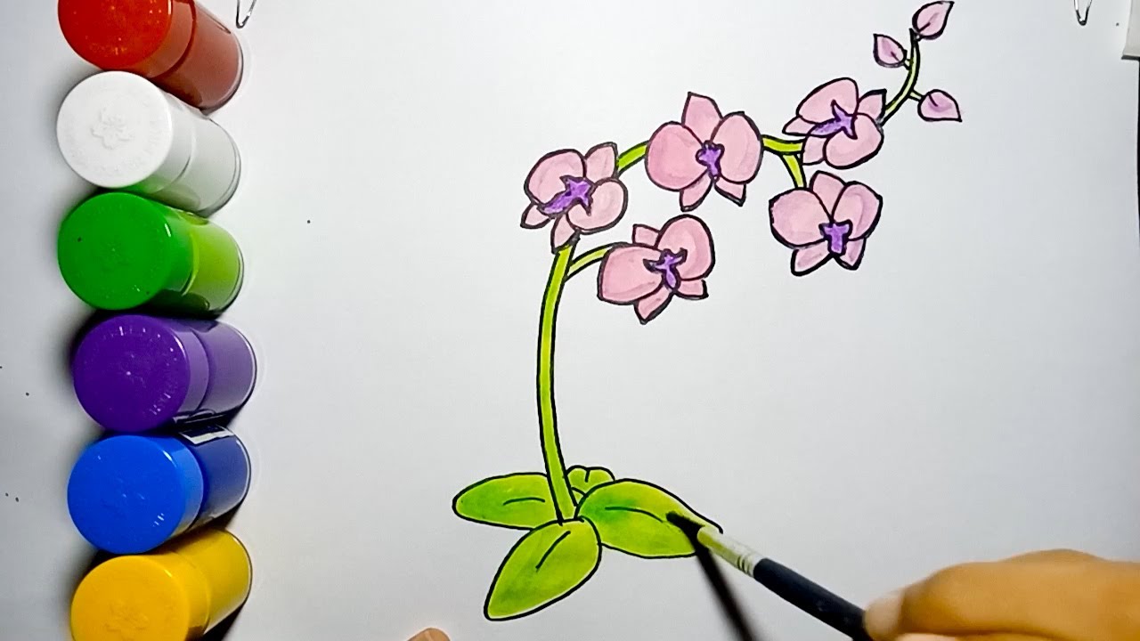 Detail Cara Menggambar Bunga Anggrek Nomer 9