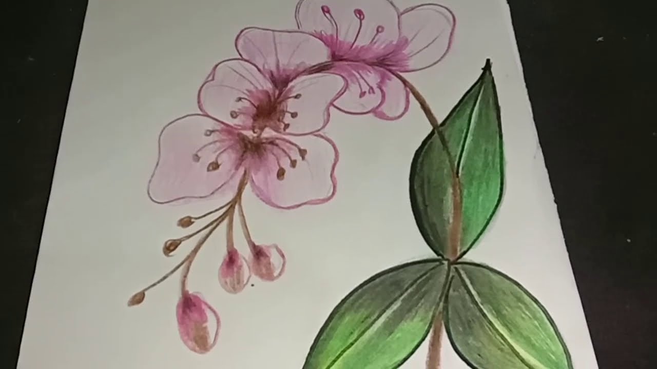 Detail Cara Menggambar Bunga Anggrek Dengan Nomer 9