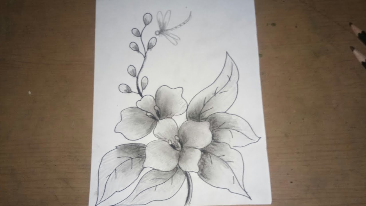 Detail Cara Menggambar Bunga Anggrek Dengan Pensil Nomer 7