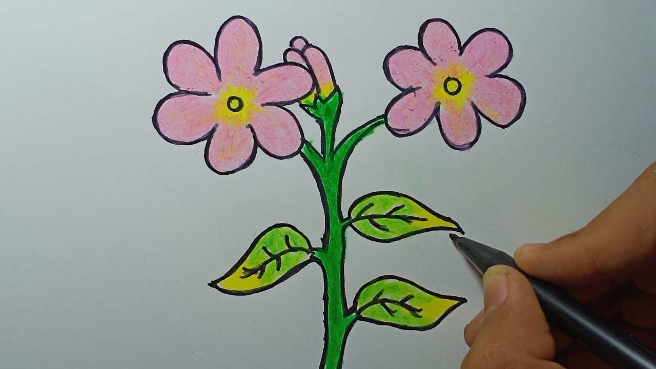 Detail Cara Menggambar Bunga Di Kertas Nomer 11