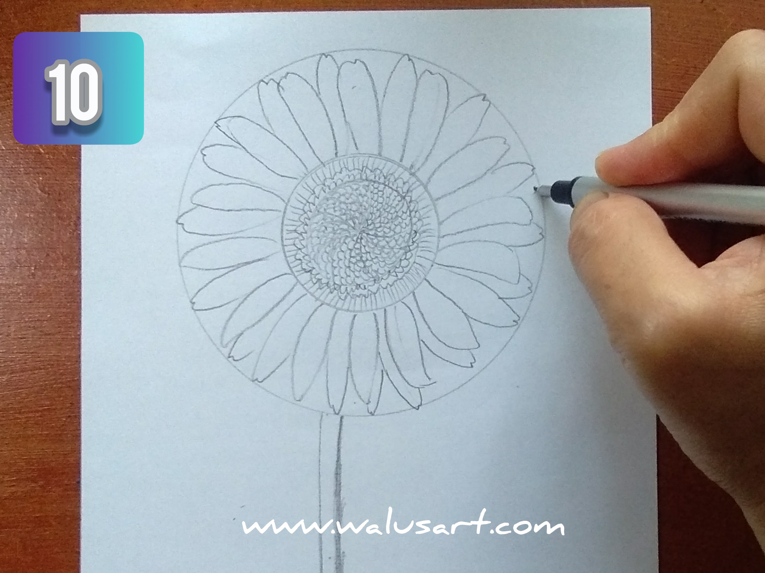 Detail Cara Menggambar Bunga Di Kertas Nomer 46