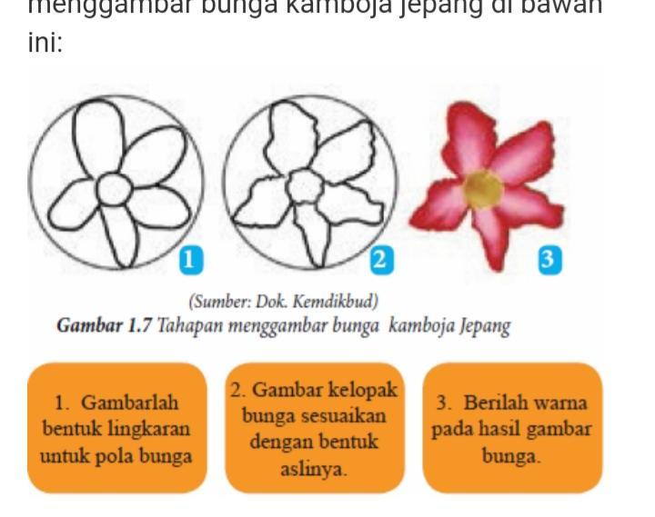 Detail Cara Menggambar Bunga Kamboja Jepang Nomer 24