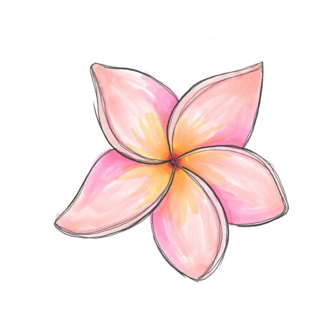 Detail Cara Menggambar Bunga Kamboja Yang Mudah Nomer 16
