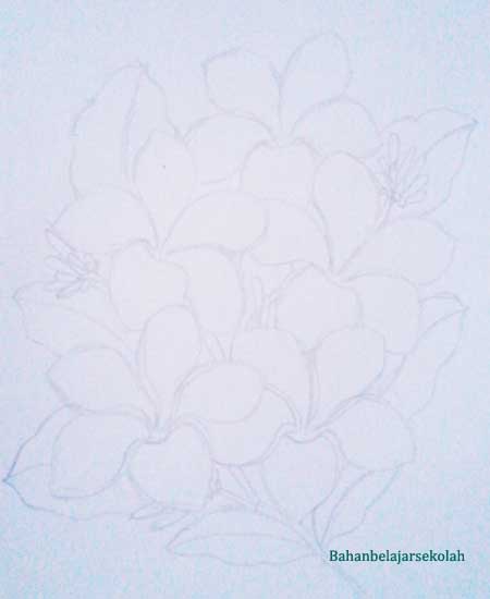 Detail Cara Menggambar Bunga Kamboja Yang Mudah Nomer 29