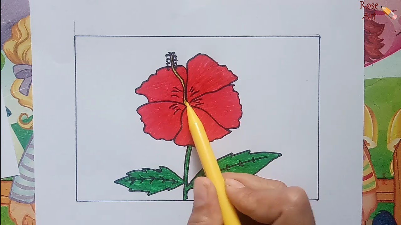 Detail Cara Menggambar Bunga Kembang Sepatu Nomer 6