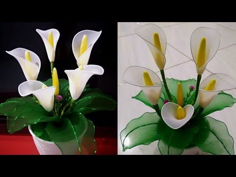 Detail Cara Menggambar Bunga Lili Nomer 36