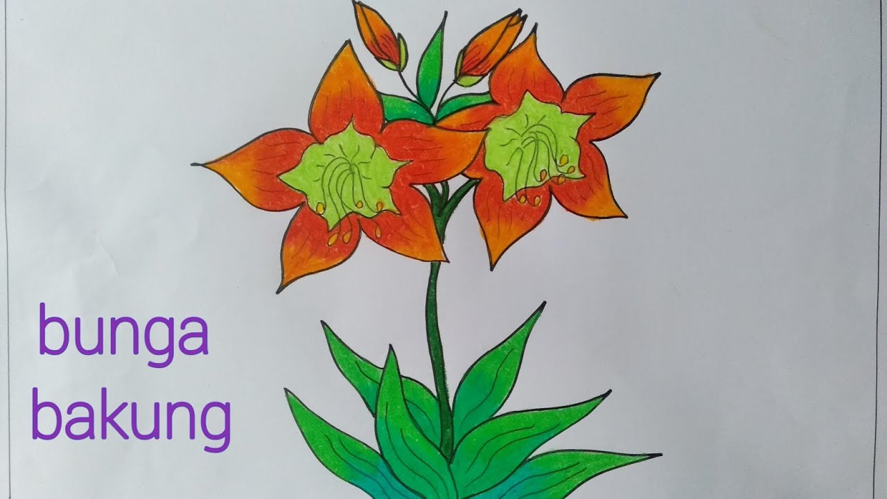Detail Cara Menggambar Bunga Lili Nomer 9