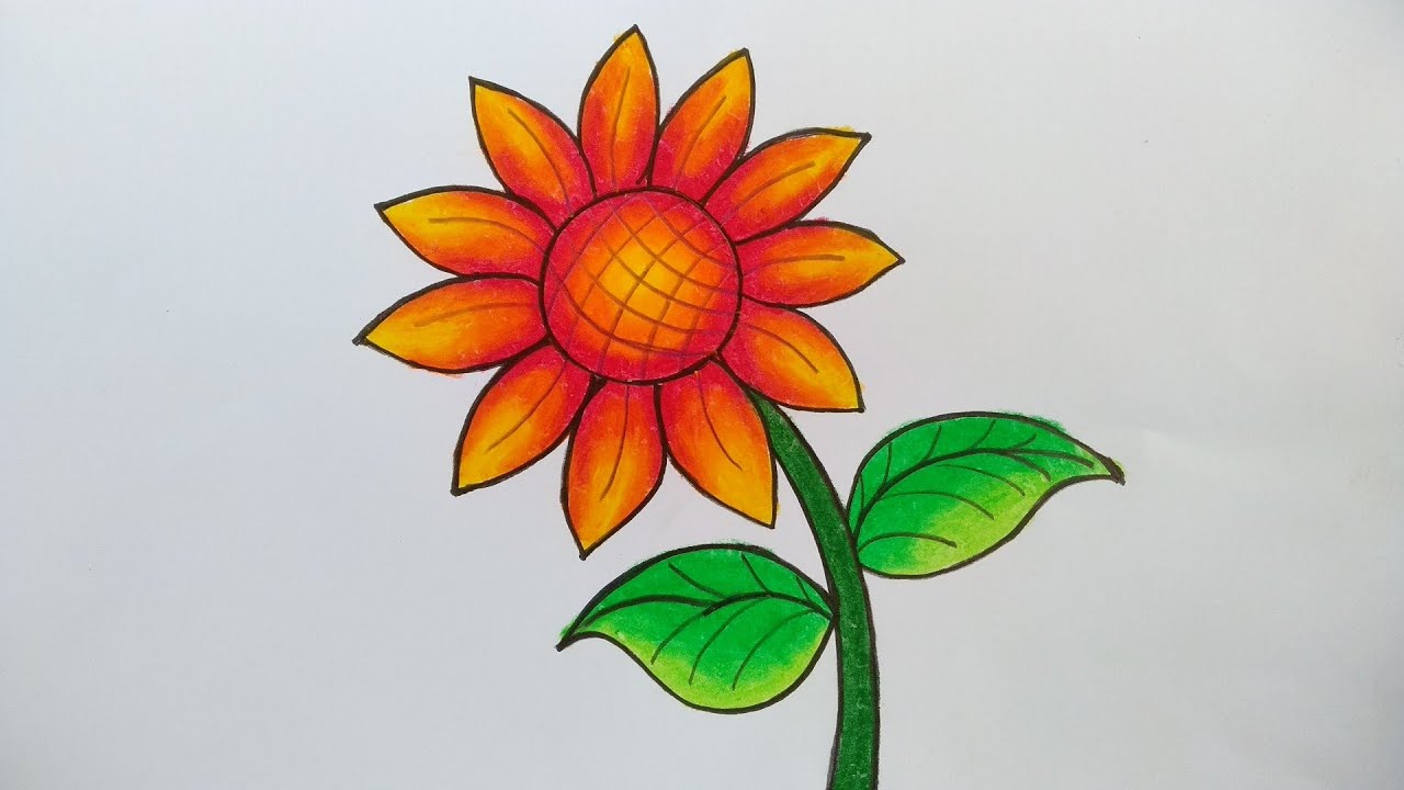 Detail Cara Menggambar Bunga Matahari Anak Tk Nomer 8