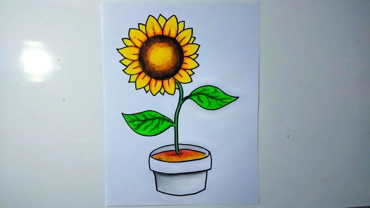 Detail Cara Menggambar Bunga Matahari Mudah Nomer 3