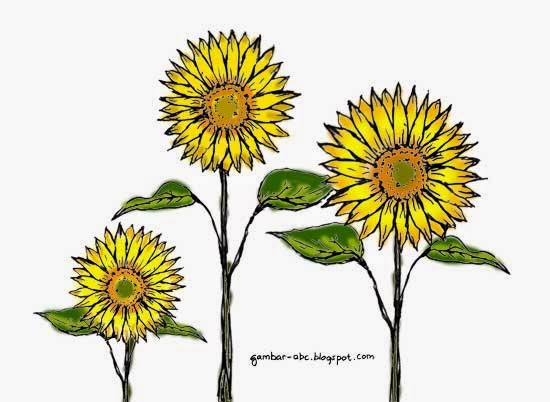 Detail Cara Menggambar Bunga Matahari Untuk Anak Tk Nomer 27