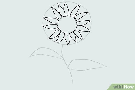 Detail Cara Menggambar Bunga Matahari Yang Bagus Nomer 38