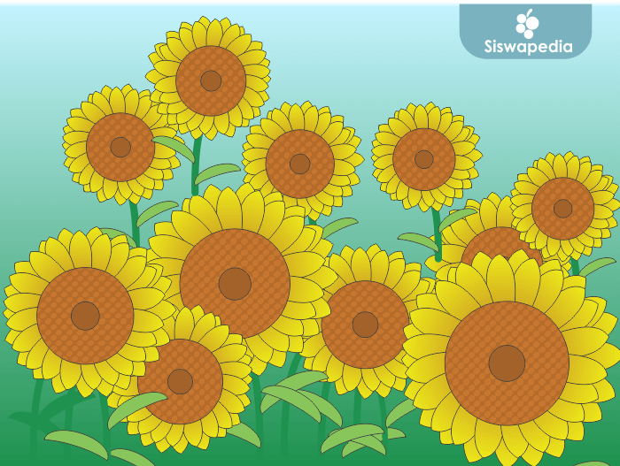 Detail Cara Menggambar Bunga Matahari Yang Gampang Nomer 11