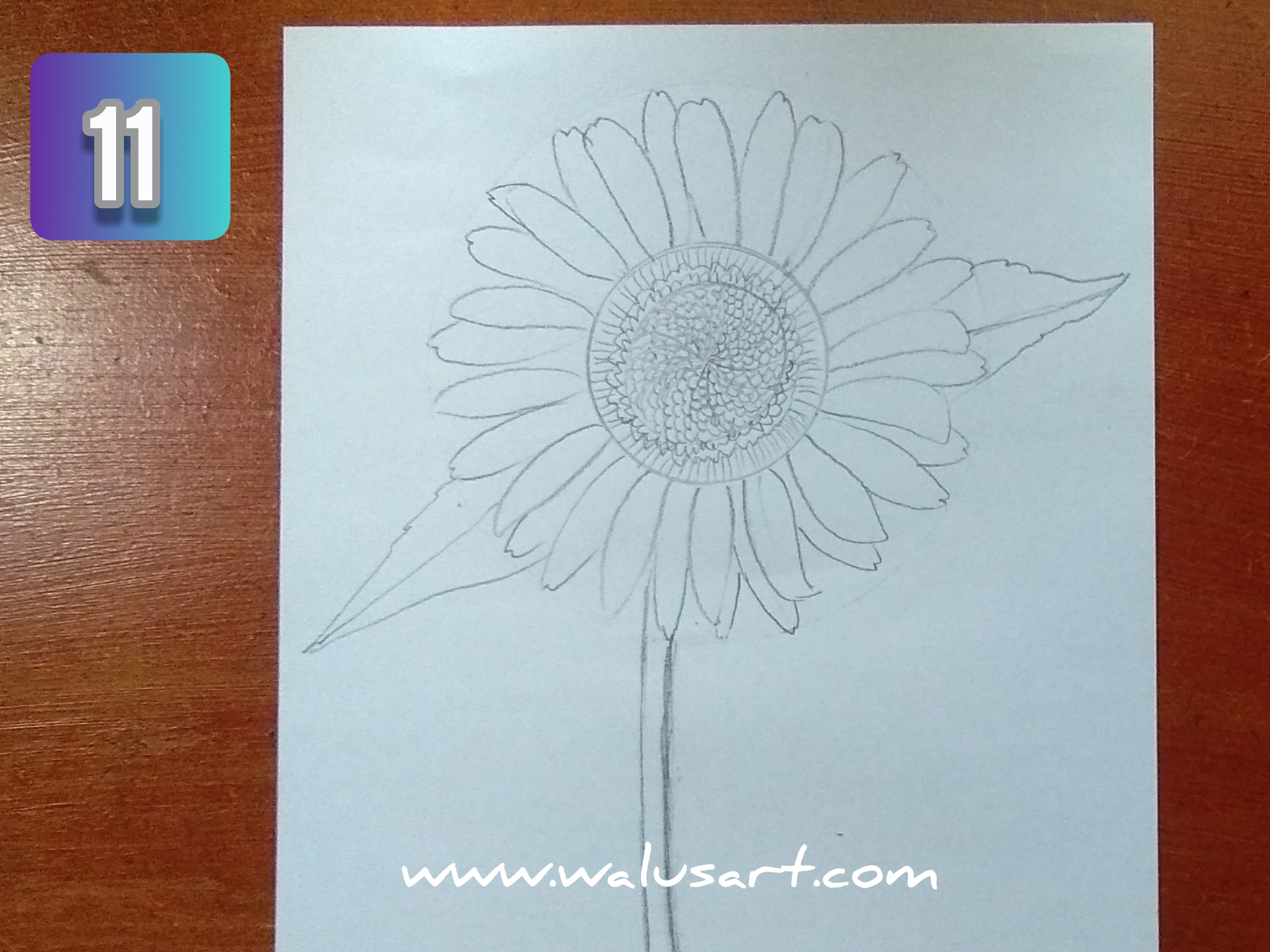 Detail Cara Menggambar Bunga Matahari Yang Gampang Nomer 31