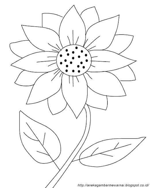 Detail Cara Menggambar Bunga Matahari Yang Gampang Nomer 8