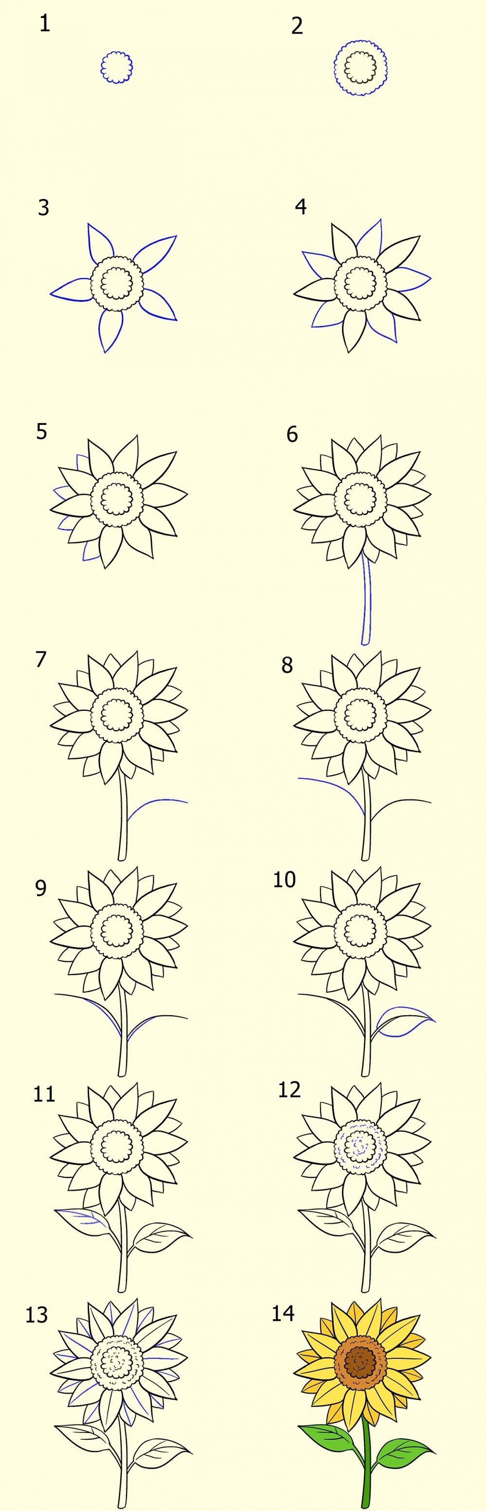 Detail Cara Menggambar Bunga Matahari Yang Gampang Nomer 9