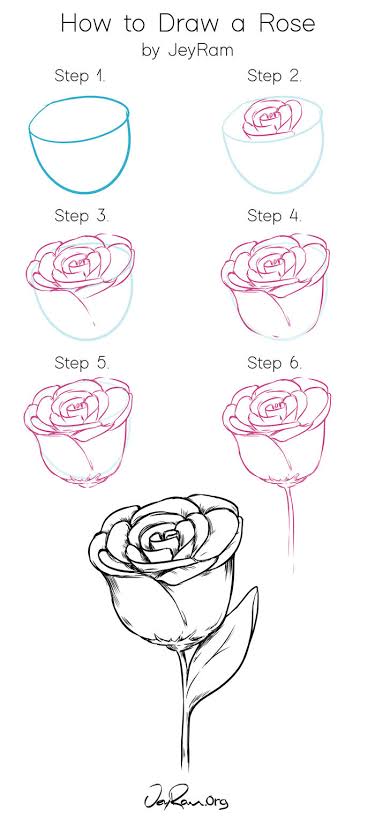 Detail Cara Menggambar Bunga Mawar Mudah Nomer 24