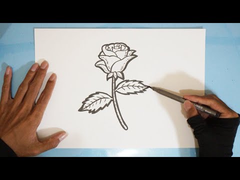 Detail Cara Menggambar Bunga Mawar Mudah Nomer 46
