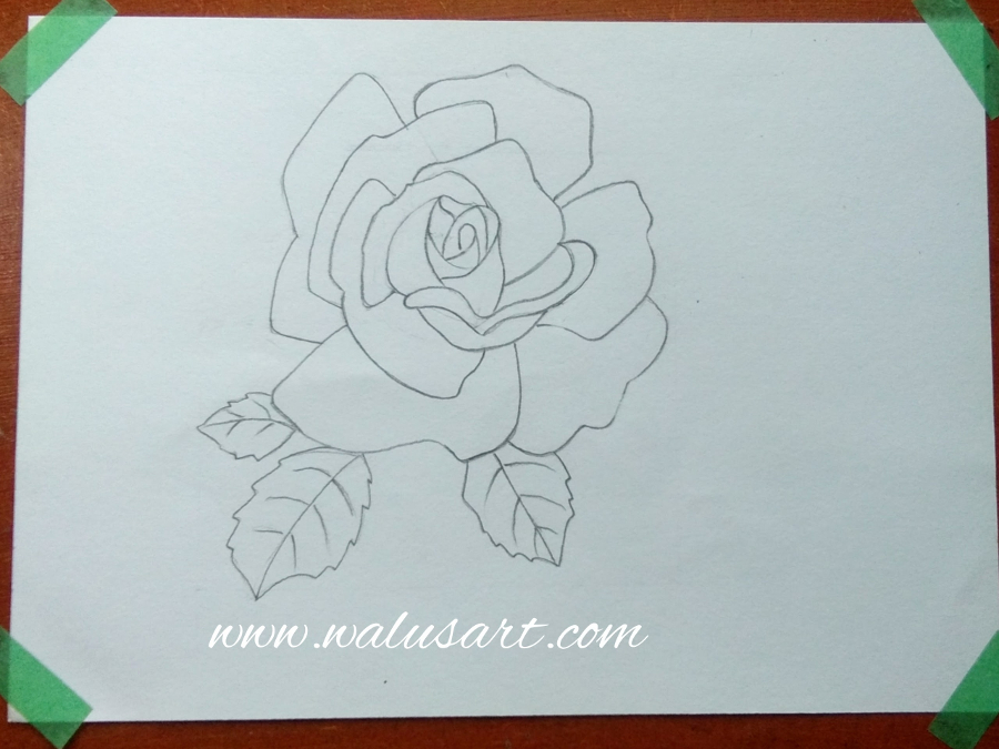 Detail Cara Menggambar Bunga Mawar Paling Mudah Nomer 15