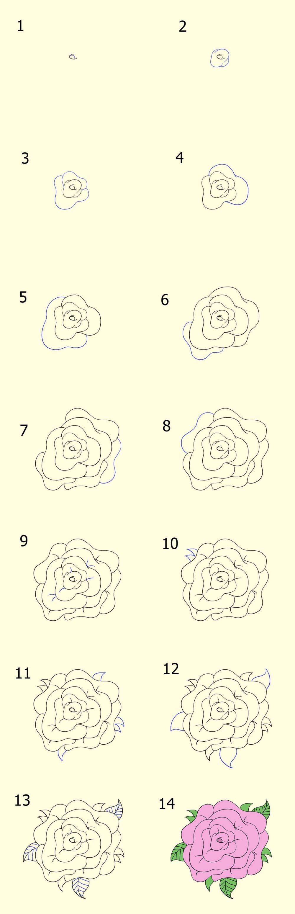 Detail Cara Menggambar Bunga Mawar Simple Nomer 16