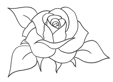 Detail Cara Menggambar Bunga Mawar Simple Nomer 33