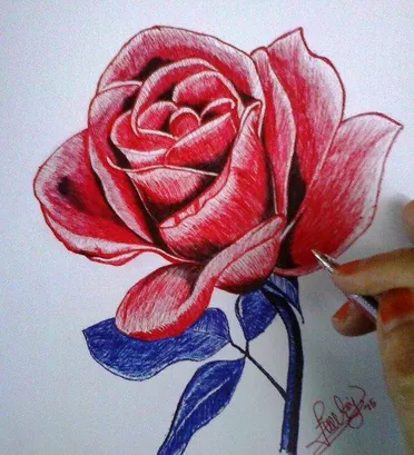 Detail Cara Menggambar Bunga Mawar Yang Indah Nomer 24