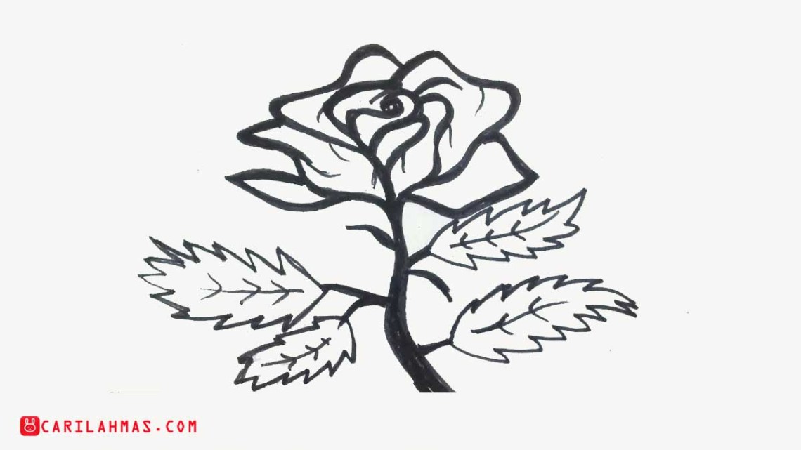 Detail Cara Menggambar Bunga Mawar Yang Indah Nomer 50
