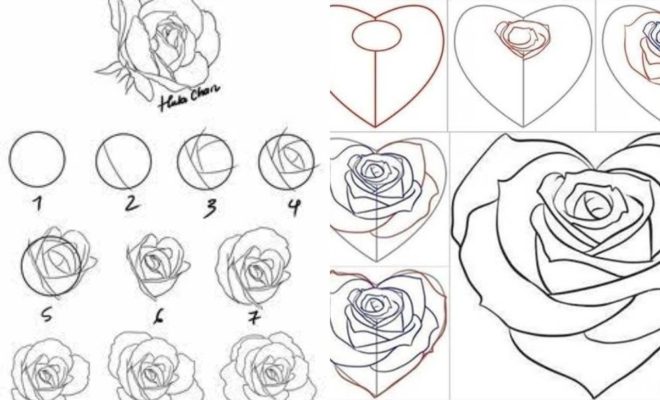 Detail Cara Menggambar Bunga Mawar Yang Indah Dan Mudah Nomer 28