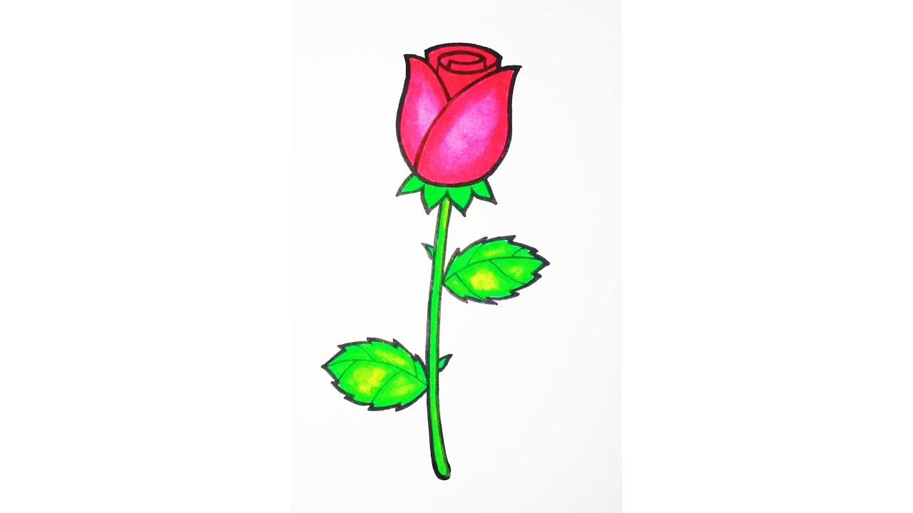 Detail Cara Menggambar Bunga Mawar Yang Indah Dan Mudah Nomer 8