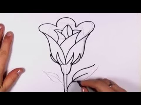 Cara Menggambar Bunga Mawar Yg Mudah - KibrisPDR
