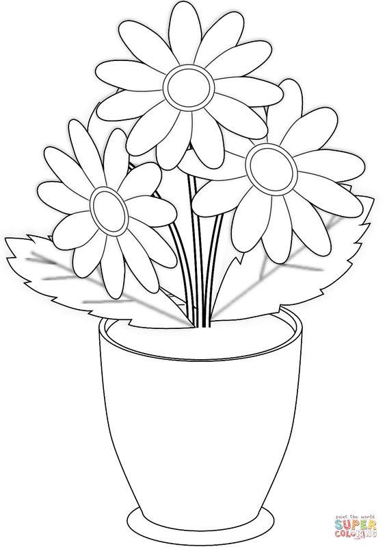 Detail Cara Menggambar Bunga Melati Dengan Bagus Nomer 4