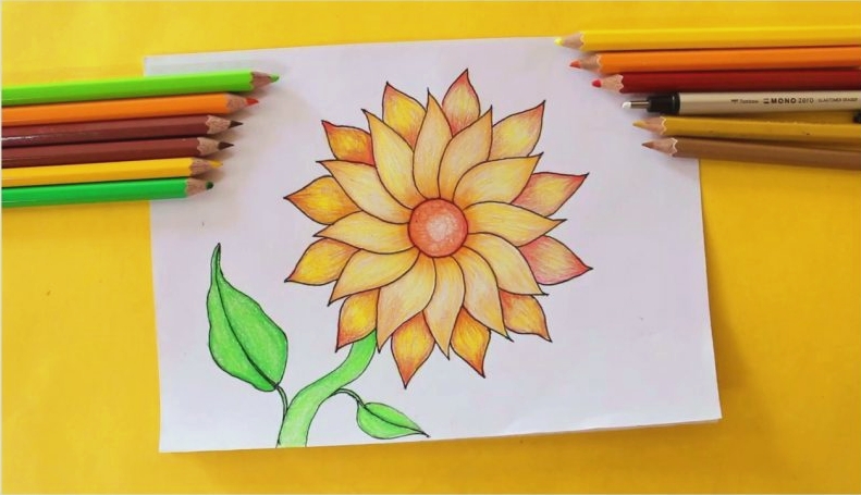 Detail Cara Menggambar Bunga Melati Dengan Pensil Nomer 12
