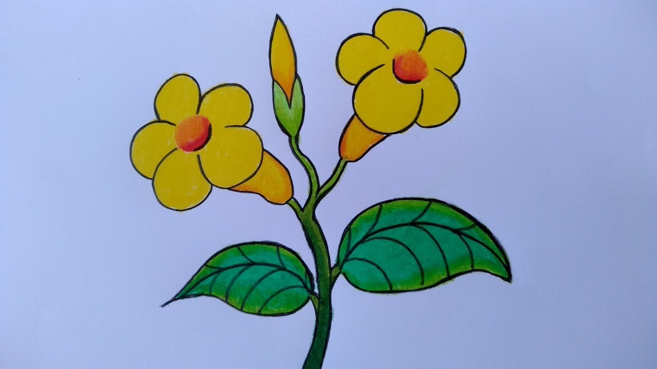 Detail Cara Menggambar Bunga Melati Dengan Pensil Nomer 27