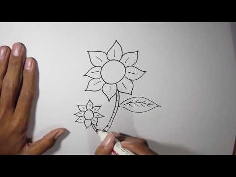 Detail Cara Menggambar Bunga Melati Putih Nomer 16