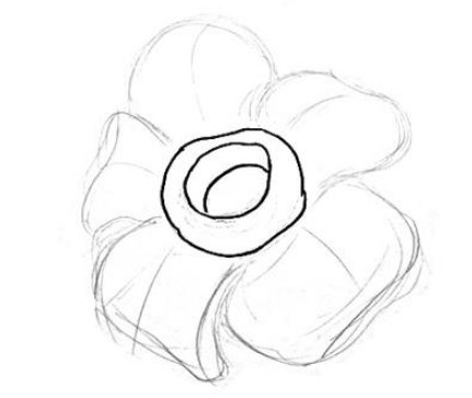 Detail Cara Menggambar Bunga Raflesia Dengan Mudah Nomer 10