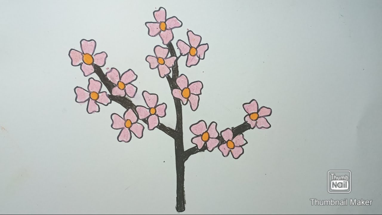 Detail Cara Menggambar Bunga Sakura Dengan Mudah Nomer 8