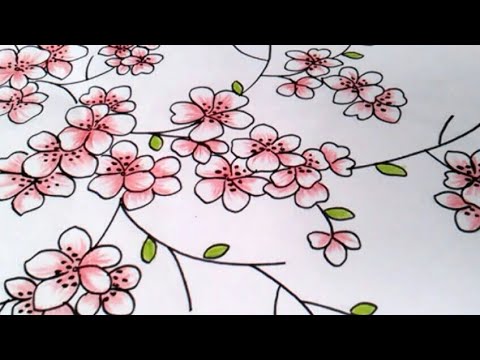 Detail Cara Menggambar Bunga Sakura Dengan Mudah Nomer 9