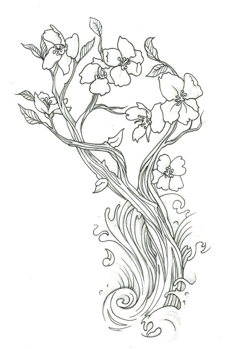 Detail Cara Menggambar Bunga Sakura Di Buku Gambar Nomer 25