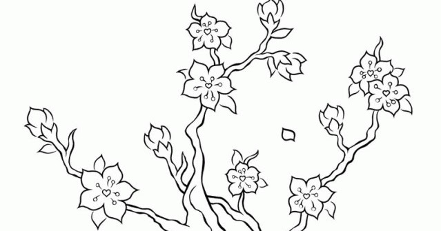 Detail Cara Menggambar Bunga Sakura Di Buku Gambar Nomer 44