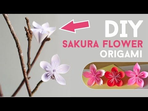 Detail Cara Menggambar Bunga Sakura Di Karton Nomer 19