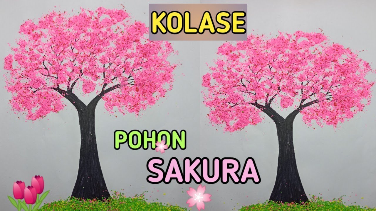 Detail Cara Menggambar Bunga Sakura Di Karton Nomer 5