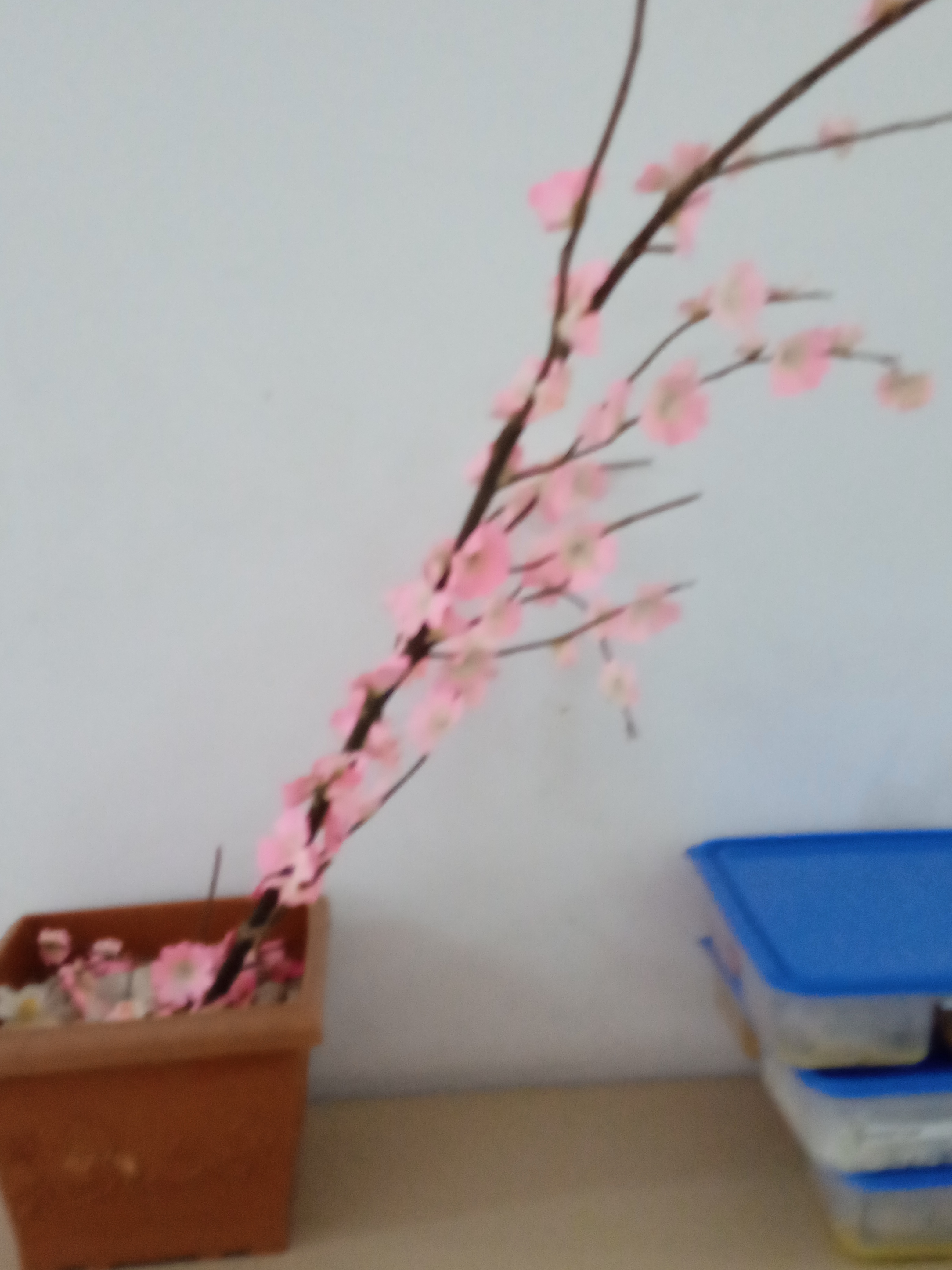 Detail Cara Menggambar Bunga Sakura Dinding Nomer 42
