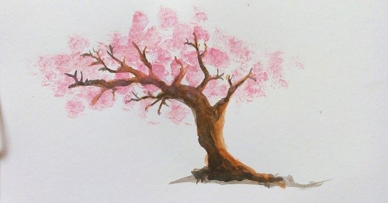 Detail Cara Menggambar Bunga Sakura Pakai Pensil Nomer 39
