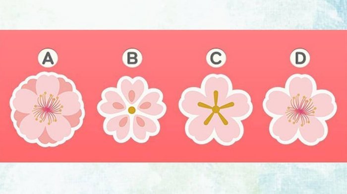 Detail Cara Menggambar Bunga Sakura Yang Gampang Nomer 16