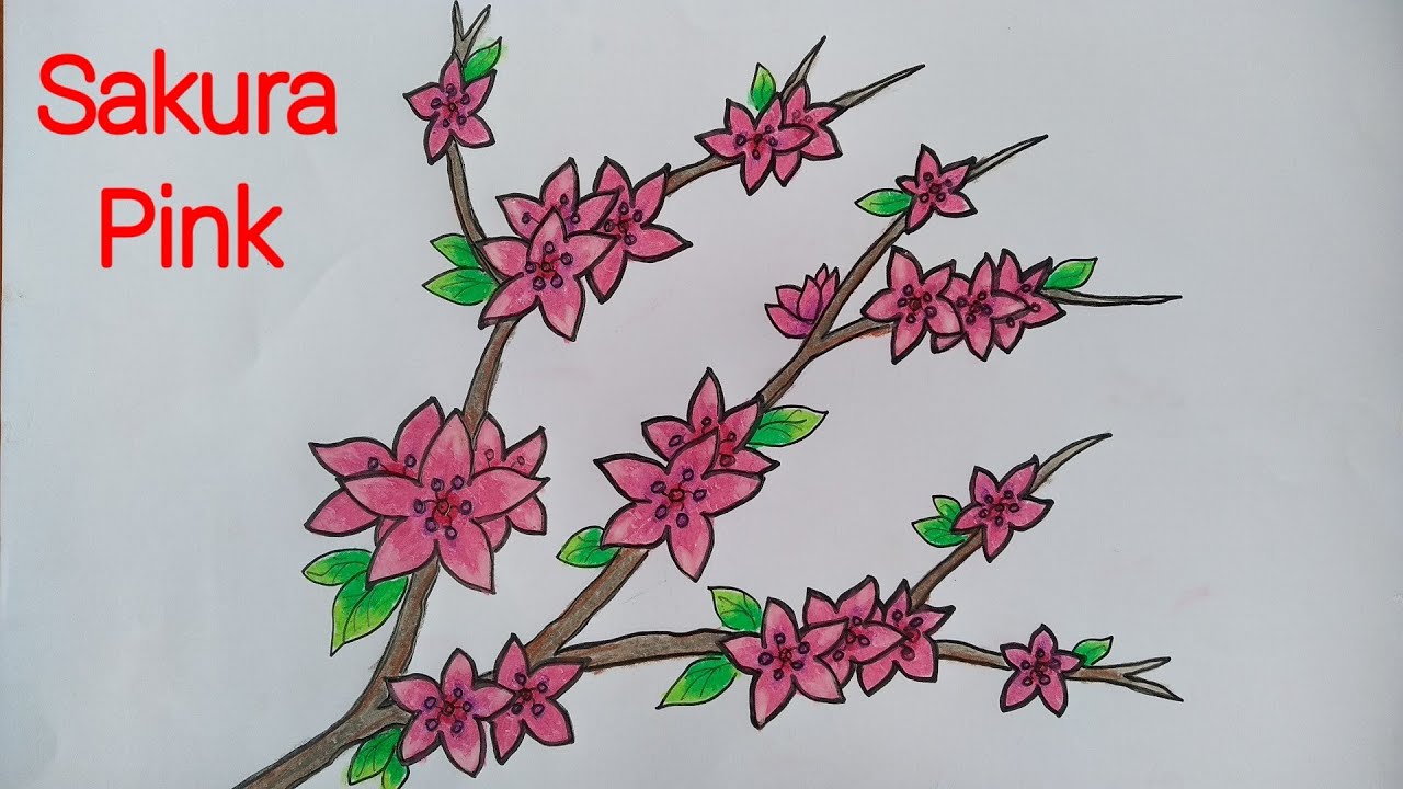 Detail Cara Menggambar Bunga Sakura Yang Gampang Nomer 4