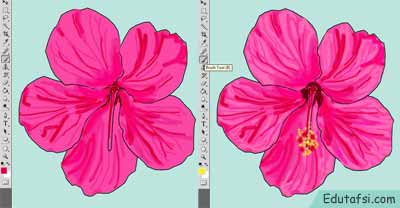 Detail Cara Menggambar Bunga Sepatu Dengan Mudah Nomer 39