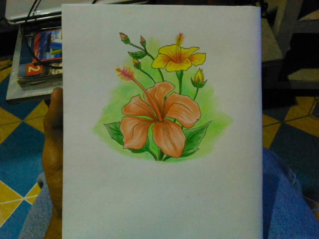Detail Cara Menggambar Bunga Sepatu Dengan Pensil Nomer 21