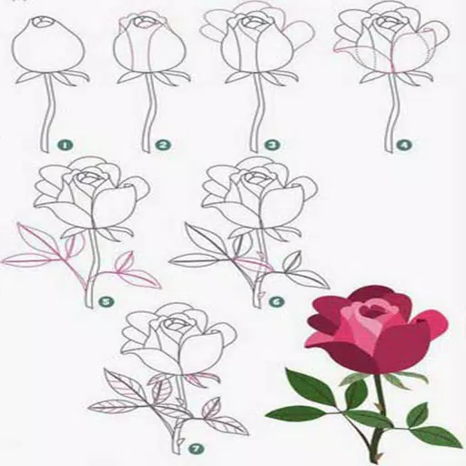 Detail Cara Menggambar Bunga Sepatu Langkah Demi Langkah Nomer 30